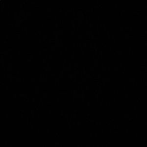 Meet your Posher, Brendan